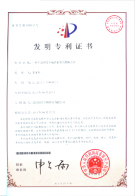 发明专利