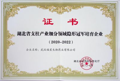 Hidden champion certificate