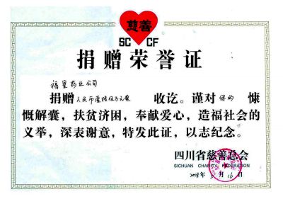 捐赠荣誉证书